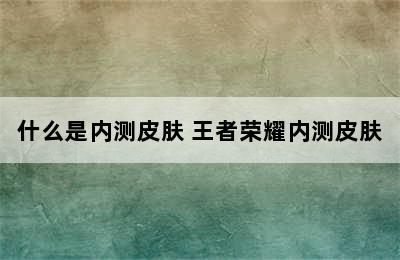 什么是内测皮肤 王者荣耀内测皮肤